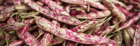pink and white vegetable