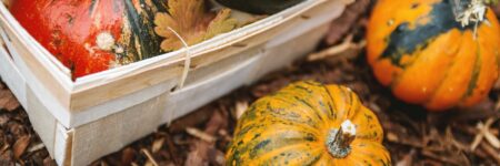 selective focus photography of yellow and green squash
