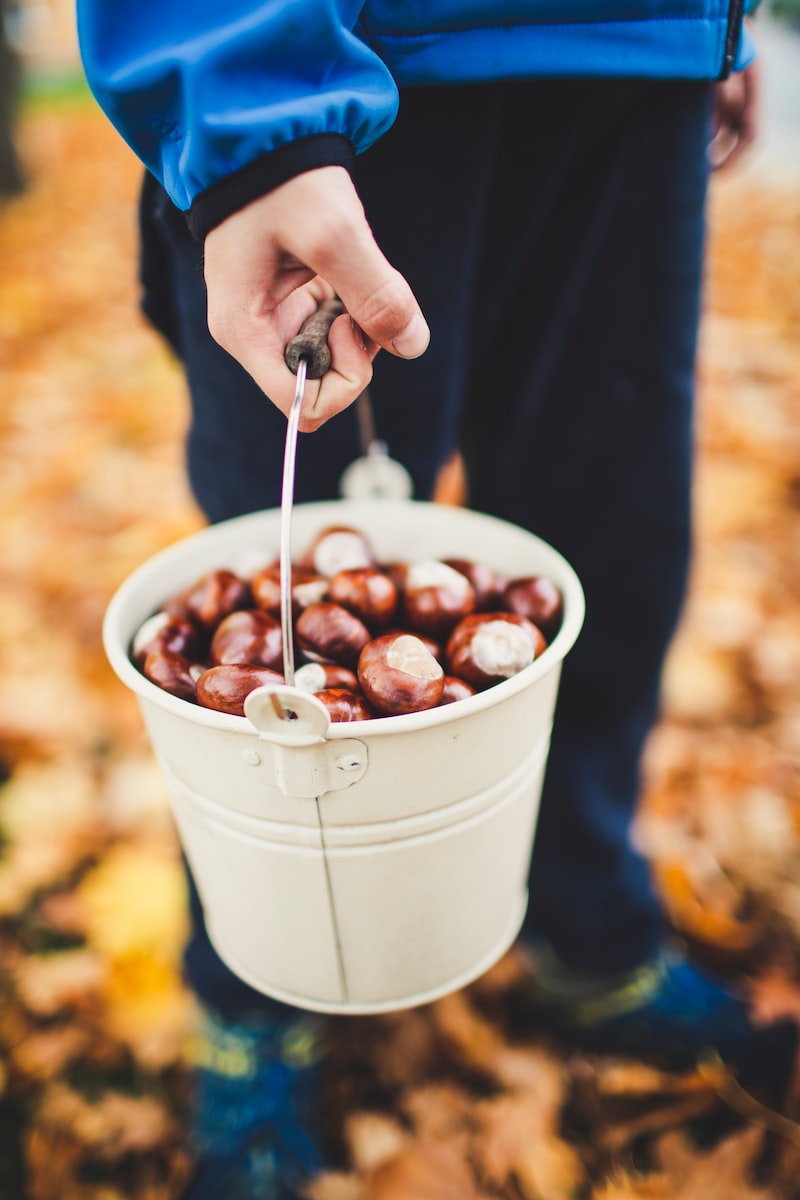 person holding white bucket with nuts